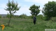 Նորագավիթի այգիներում