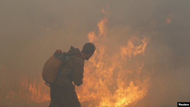 A firefighter attempts to extinguish a conflagration just over a 100 km south of Moscow during last year's forest fires that are believed to have contributed to tens of thousands of deaths last year. 