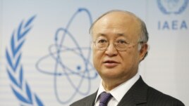 IAEA Director-General Yukio Amano