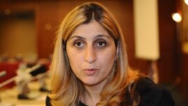 "ქართული ოცნების" წარმომადგენელი ელისო ჩაფიძე