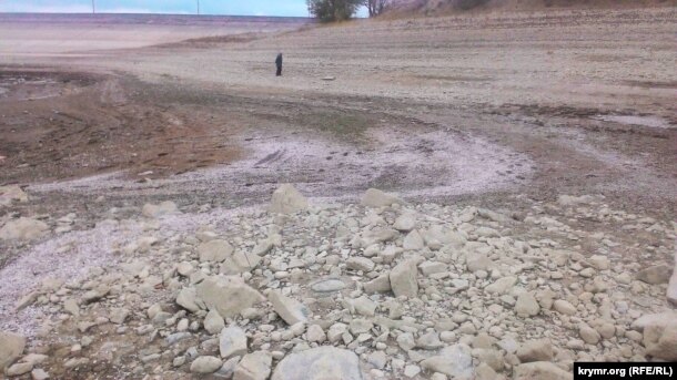 В кримському водосховищі загинули молюски, які очищували воду - фото 2