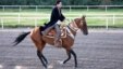 Turkmen President Gurbanguly Berdymukhammedov is closely associated with the country's Akhal-Teke horses. 