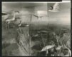 A local museum display depicting the Aral coast bustling with life early in the Soviet period