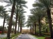 UAE -- Iranian people in Dubai shopping for Norooz ceremony, 20Mar2008