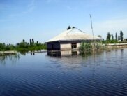 Затопленный дом в Сабирабадском районе, май 2010