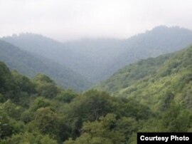 The Teghut forests