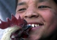 An Afghan chicken seller kisses a chicken in Jalalabad, Afghanistan (file photo) (epa)