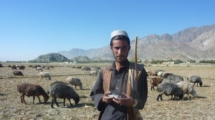 Radio Azadi radio distribution in Khunar province