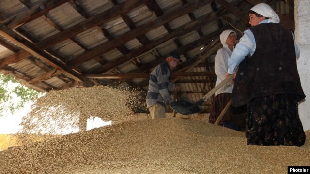 Armenia - Workers at a wheat storage facility in Shirak province, 1Aug2012.