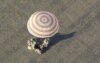 Touchdown! Soyuz Capsule Lands In Central Kazakhstan