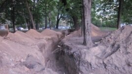 Hundreds of these trees were eventually felled in the historic Stroganov estate in Moscow.