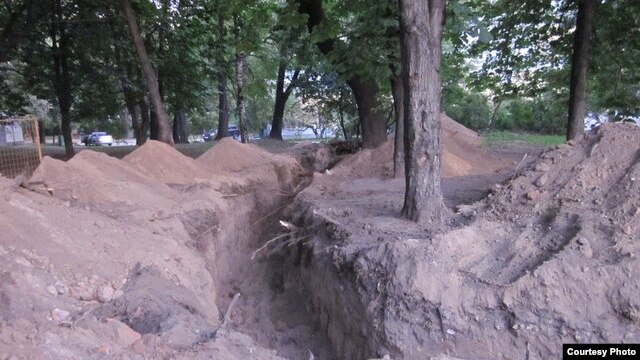 Hundreds of these trees were eventually felled in the historic Stroganov estate in Moscow.