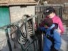 Ukraine Zoo Director Says Animal Poisonings Political