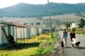 229 მაკა გოგალაძე: უსათაურო