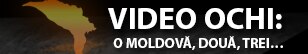 Moldovan Video Project 2012 widget