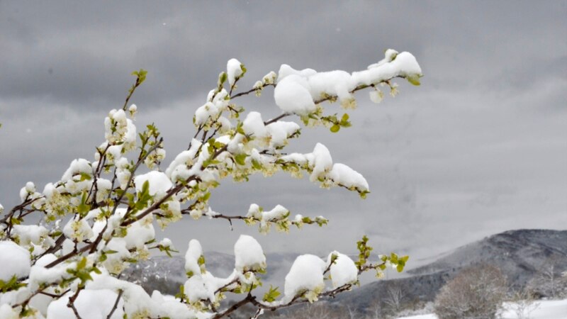 ����: radioazadlyg.org