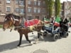 Kadyrov's Horse Wins 'President Of Russia' Prize