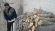 Қишнинг совуқлигидан мактаблар маъмуриятлари исинишнинг турли йўлларини кашф қилмоқда.