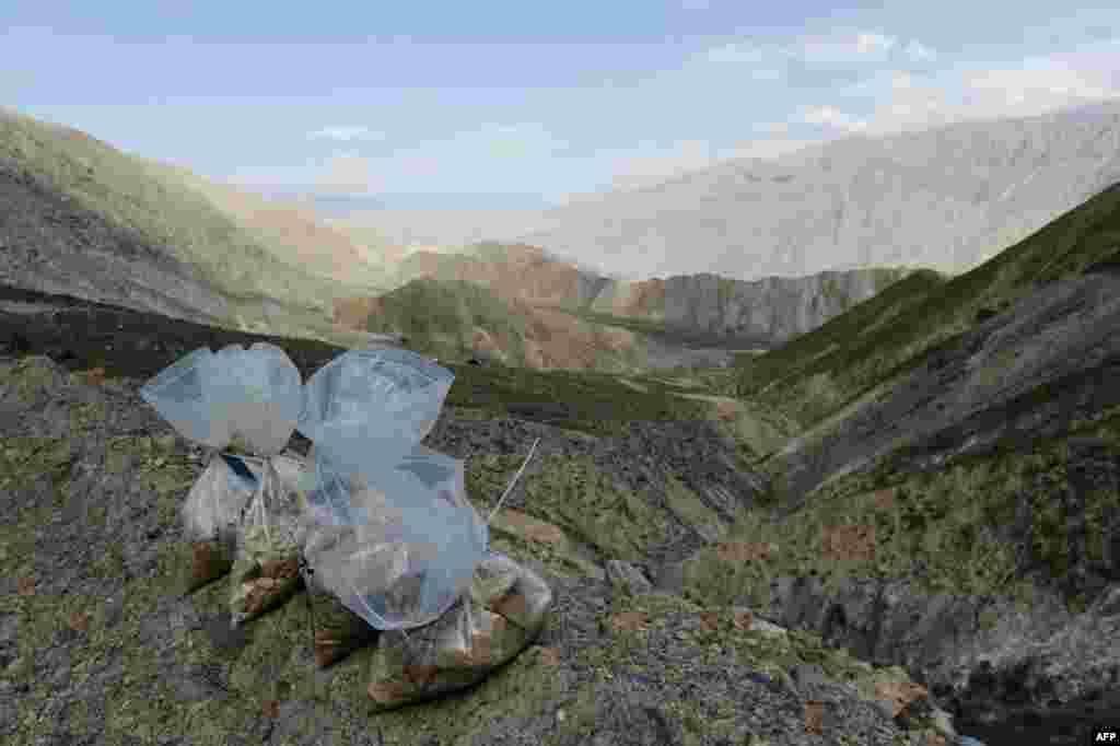 Rock samples that have been collected for testing