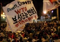 Anti-WTO protesters on 17 December (epa)