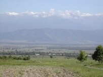 Alazani Valley in Kakheti, eastern Georgia, the country's most famous wine-making district (RFE/RL)