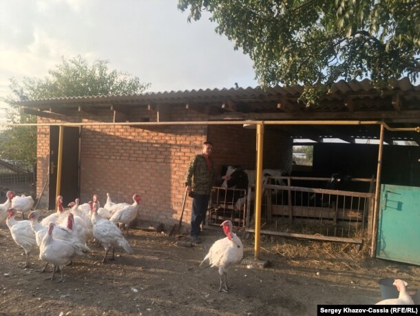 Фермер Андрей Зеленский, Красноармейский район