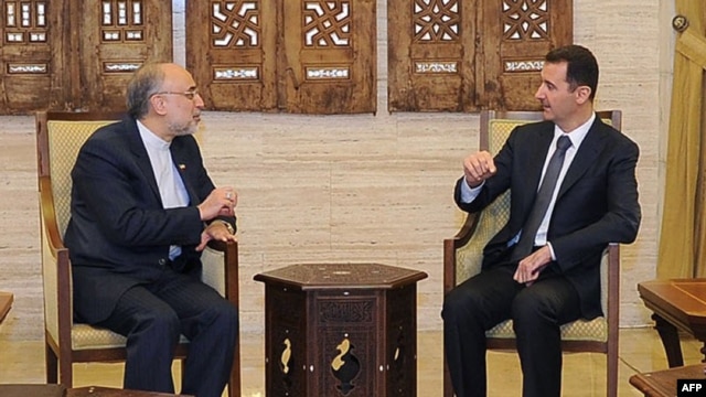  دیدار صالحی و بشار اسد