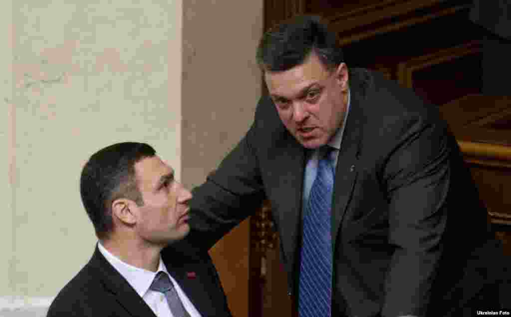 If there are going to be fisticuffs in parliament, it's wise to ensconce yourself next to a reigning world heavyweight boxing champion-cum-lawmaker. But Vitali Klitschko (left) sat this this one out entirely.