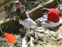 Forensic experts working at a mass grave in Budak, near Srebrenica
