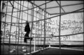 303 გეგა ჭუმბურიძე: უსათაურო