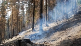 Georgia -- Russian planes dropped explosives in the protected areas which caused fire in the popular resort Borjomi, 19Aug2008