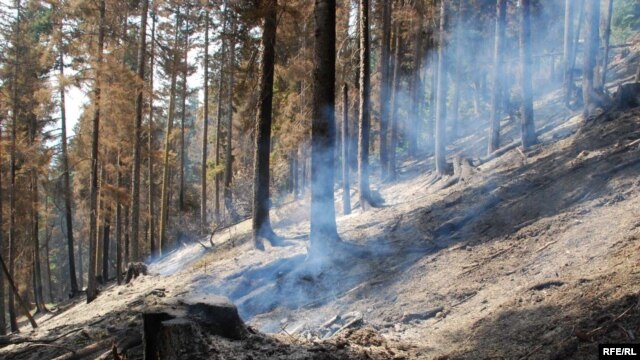 Georgia -- Russian planes dropped explosives in the protected areas which caused fire in the popular resort Borjomi, 19Aug2008