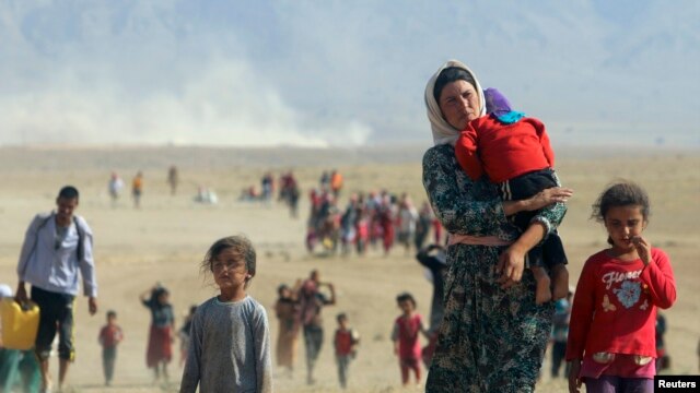 Езидские беженцы в Ираке, 11 августа 2014 г.