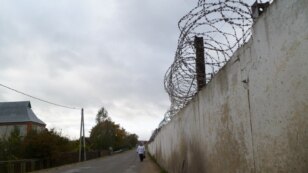 Мур івацэвіцкай калёніі