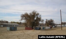 Қарақұм ауылы, Арал ауданы, Қызылорда облысы. 10 қараша 2010 жыл.