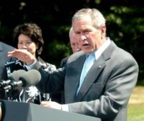 U.S. President George W. Bush (file photo) (epa)