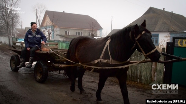 Збирачі молока від аграрних кооперативів щоранку об’їжджають селянські подвір’я