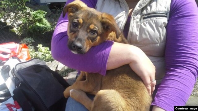 C8F224B8-4D8C-4AA6-B23B-831C52138CBA_w64