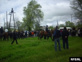 Петровкадагы тополоң. 26-апрель, 2009-жыл.