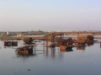 Kazakhstan's Caspian shore (file photo) (OSCE)