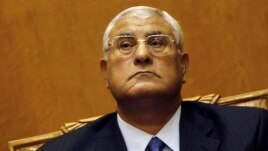 Egypt's interim leader Adli Mansour
