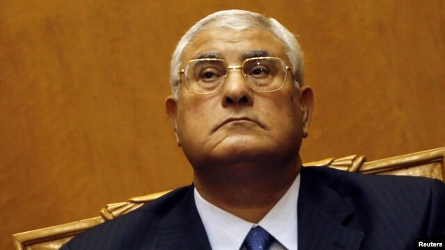 Egypt's interim leader Adli Mansour