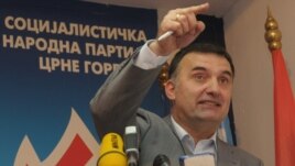 Srđan Milić