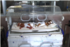 Afghanistan Seeks To Further Reduce High Maternal Mortality Rate