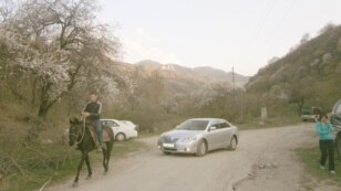 Заман тынысы!
Ер қанаты ат емес бауырым... енді иномарка!
Жүктеген адам: Жанашыр
7 мамыр 2012 жыл