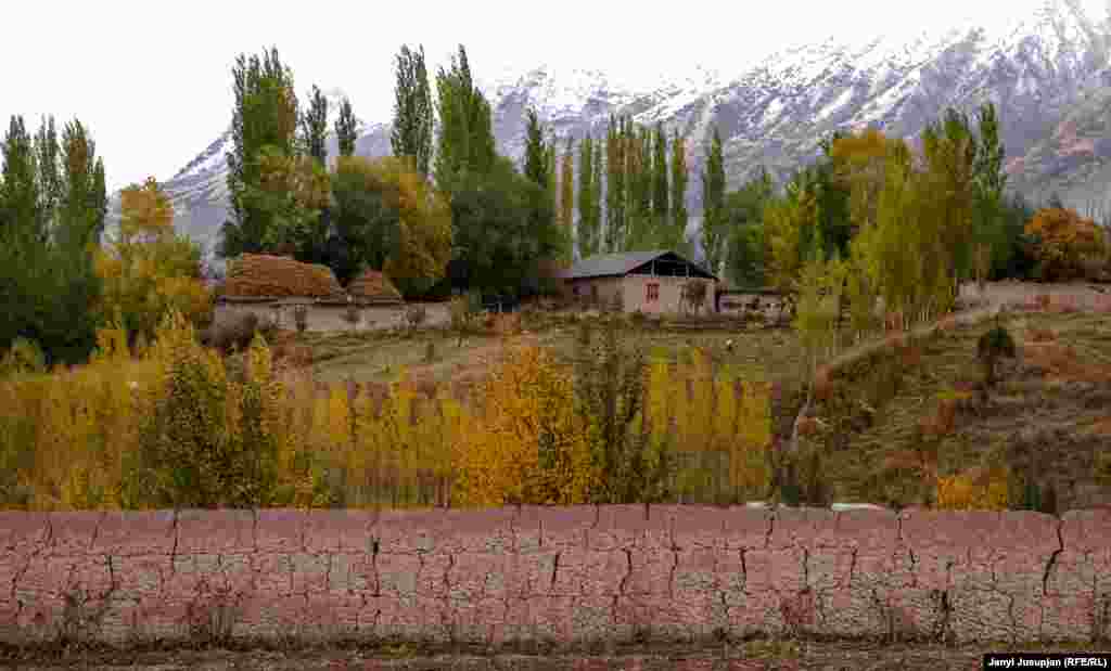 Depshaar is a village of postcard beauty at an altitude of 2,300 meters in the western Pamir Mountains. It is one of the last villages on the route to the "Peak of Communism," now renamed Ismoil Samani -- after a medieval Persian king. The houses and walls are built using the local paksa technique -- a mixture of mud with dry grass. People keep goats and grow potatoes, apples, and wheat.
