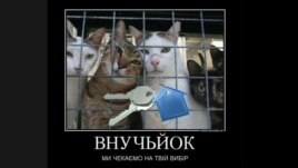 Cat images have proliferated on image boards and social networks in support of the opposition.