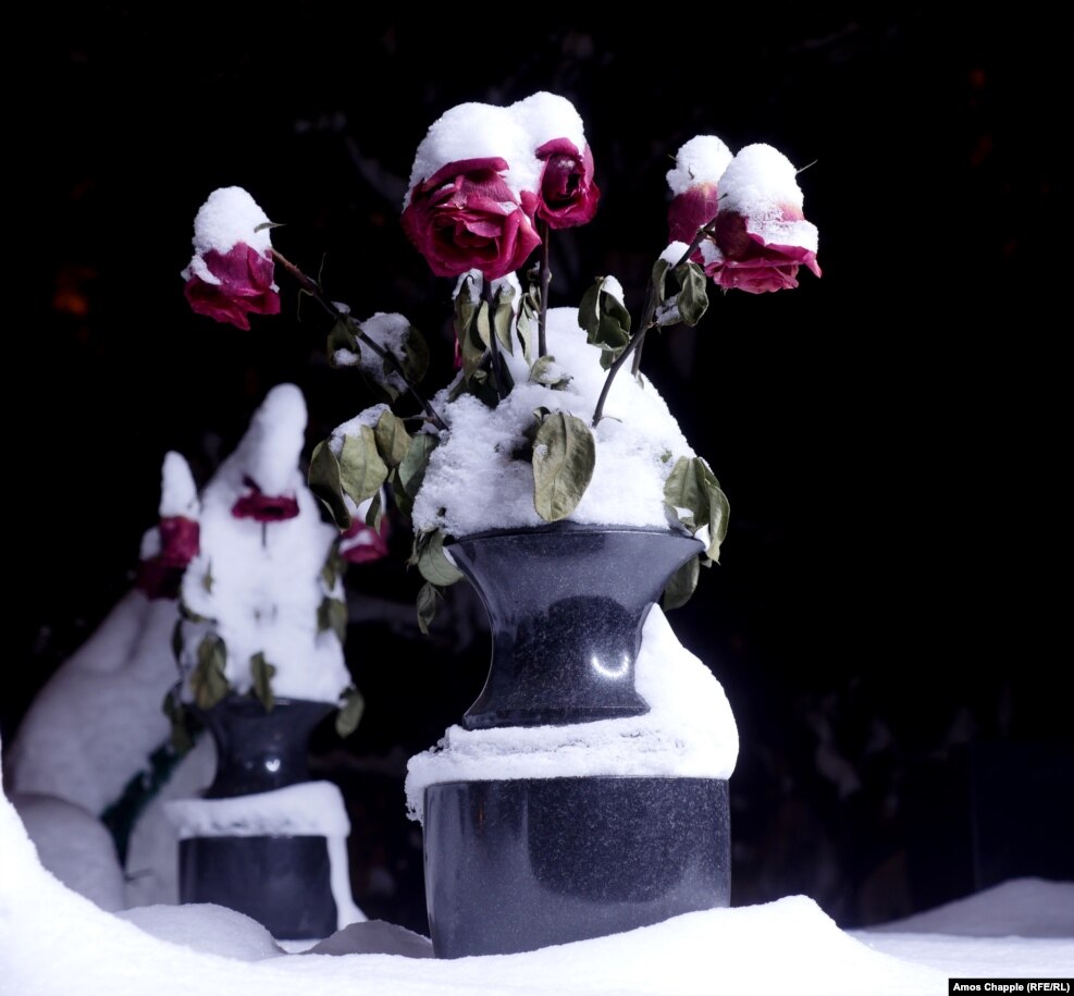 Frozen roses alongside a gravestone.
