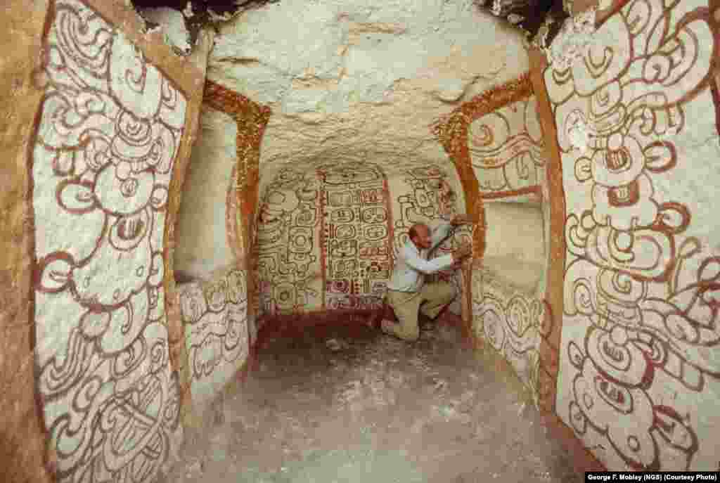 Archaeologist and National Geographic grantee Richard Adams examines pre-Columbian Mayan wall murals in Tomb One at Guatemala's Rio Azul in 1984.