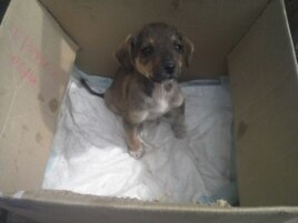 D352EA40-7A16-46D5-B34B-865AA61BBF3E_w26